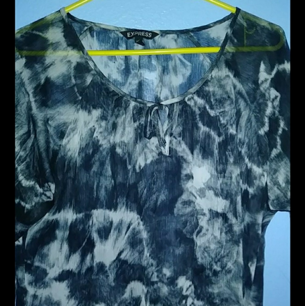 Sheer Blouse